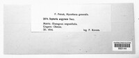 Image Associated With the Occurrence